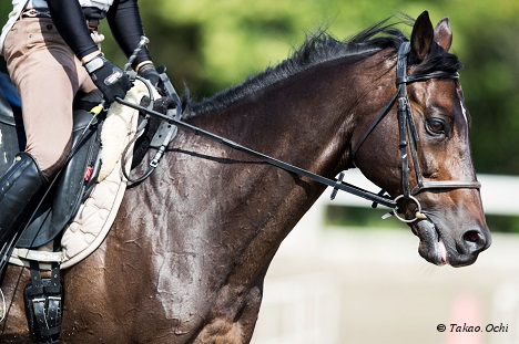 兄のひと言をきっかけに競馬の道へ