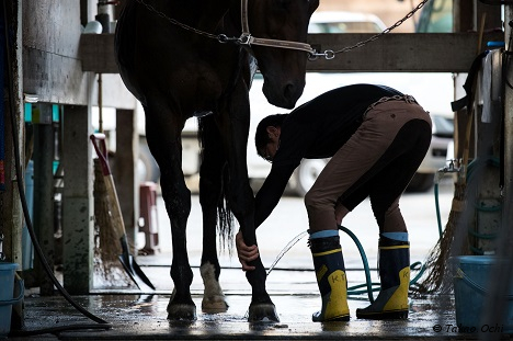 １年を要した「競馬」への気持ちの整理