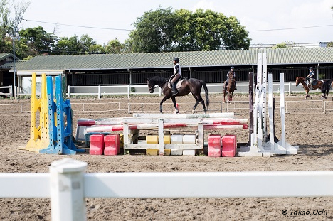 1年を要した「競馬」への気持ちの整理